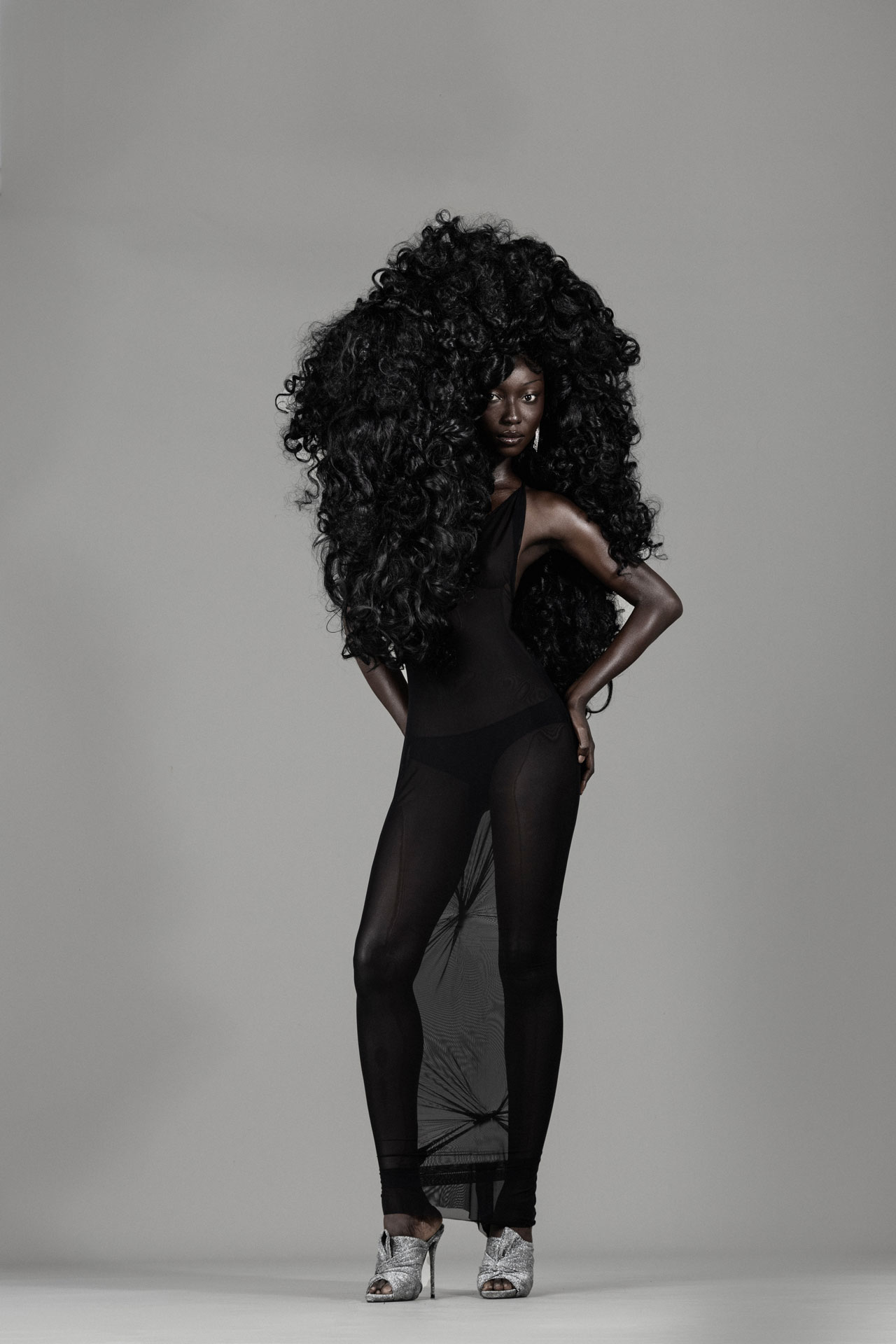 Black Twilight sheer black silhouette in a standing pose
